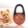 thumbnail image 2 of Collar luminoso LED para perro, luz nocturna, colgante de seguridad, color naranja, 2 of 9