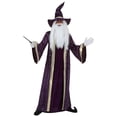 thumbnail image 1 of Déguisement Violet pour Adulte de Wizard, Costume de Sorcier de Conte de Fées pour Homme, 1 of 1