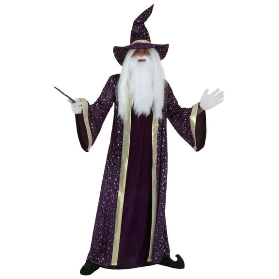 Purple Wizard Costume for Men