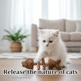 thumbnail image 4 of Natural Fishbone Cat Dental Toy, 7In Cat Chew Toy with Catnip & Natural Silvervine, Healthy Teeth Cleaning Dental Chew for Indoor Cats and All Cat Breeds with Edible Design, 4 of 6
