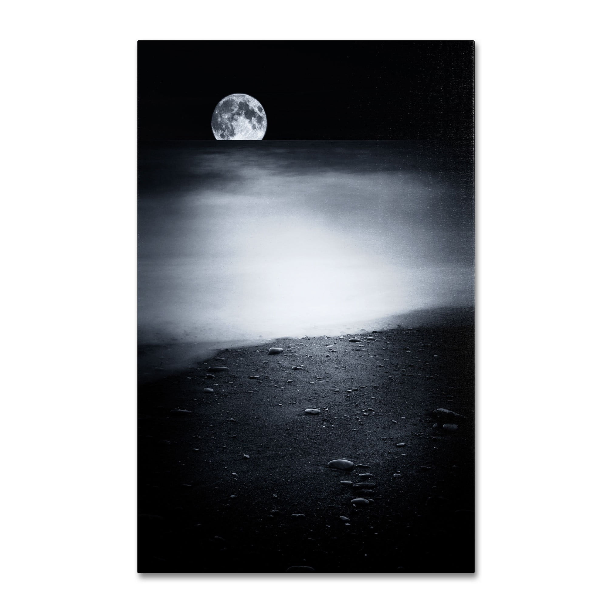 Trademark Fine Art "Black Sweat" Canvas Art by Philippe Sainte-Laudy
