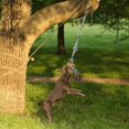 thumbnail image 3 of Puzzle Dog Rope Toy, Pet Rope Toys, Spring Rod Large Dog Teeth  Easy Installation For Big Dog, 3 of 8
