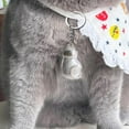 thumbnail image 6 of Cat Hair Storage Bottle, Clear Keychain for Collecting Cat and Dog Hair, Pet Fur Keepsake Keychain Cat Hair Storage Capsules, Cute Pet Memorial Gifts for Cat Lover Y8J1, 6 of 8