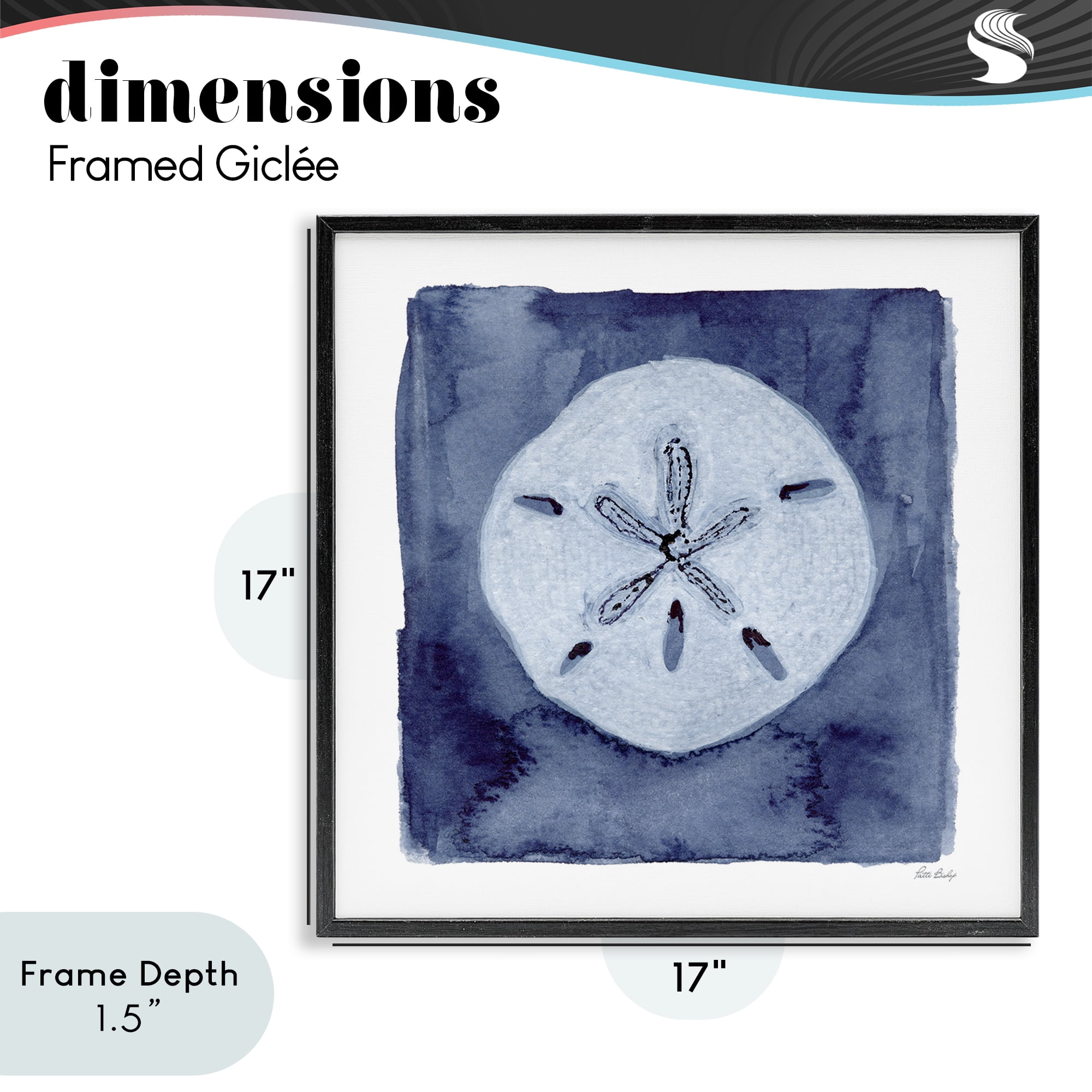 Stupell Industries White Sand Dollar on Indigo Black Framed Giclee Art, design by Patti Bishop