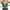Green, variant on DENGDENG Women's Lace Longline Camisoles with Built In Bra Spaghetti Strap Tank Top Comfy Bralettes Yoga Cami Bra Black L