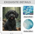 thumbnail image 3 of Diamond Art Kit for Adults, Cute Cocker Black Print No.8 Diamond Painting for Adults Beginners, 5D DIY Diamond Art Painting Kits, Colorful Diamond Painting Craft for Home Decor 12x16, 3 of 7