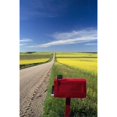 thumbnail image 2 of Mailbox On Country Road, Tiger Hills, Manitoba Poster Print (11 x 17), 2 of 4
