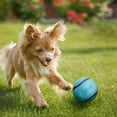 thumbnail image 3 of Chuckit! Sniff Fetch Ball Durable High Bounce Rubber Dog Toy, Peanut Butter & Bacon Scented, Medium 2.5" for Dogs 20 to 60 lb, Blue, Green & Blue, Pack of 2, 3 of 6