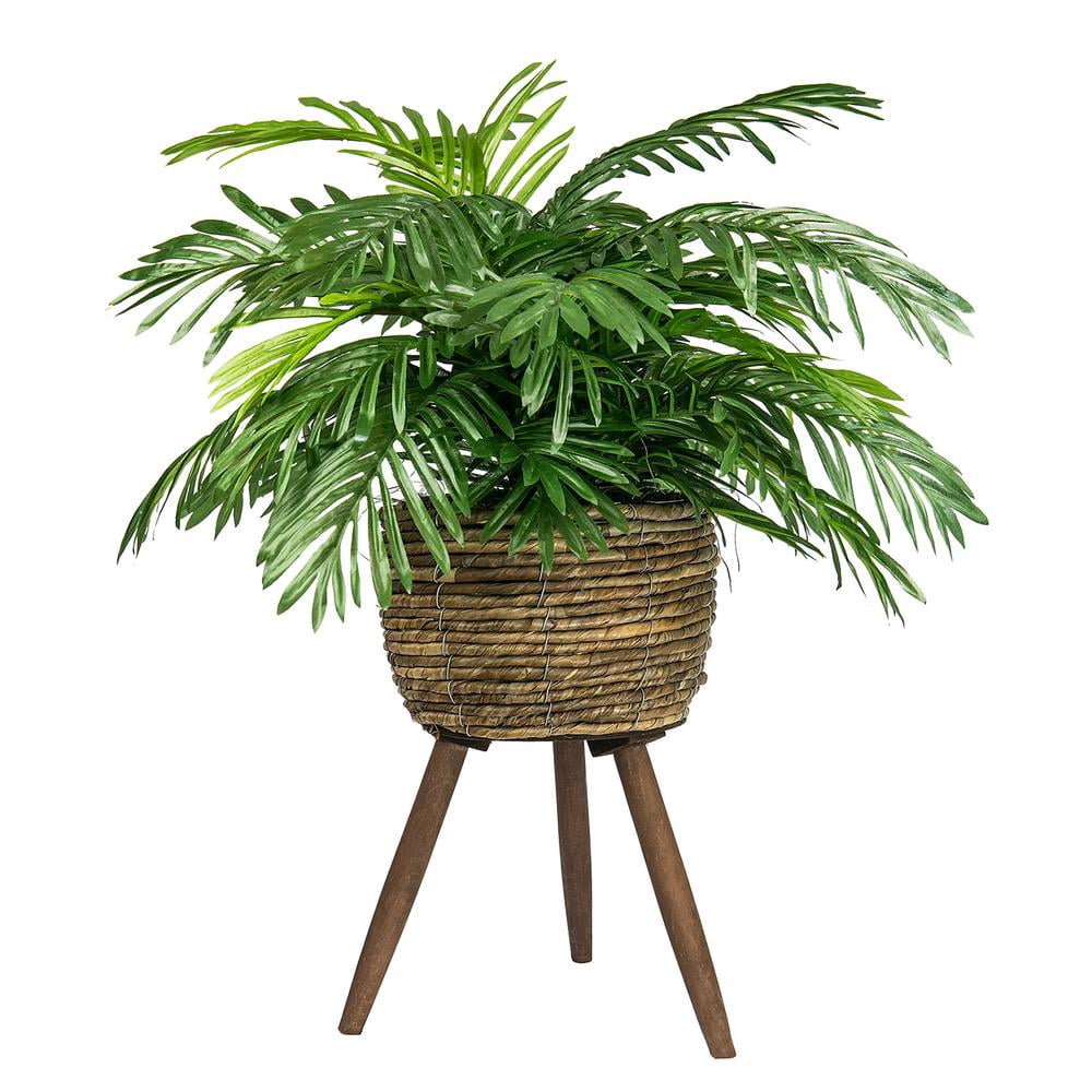 LCG Florals Artificial Plant, Phoenix Palm, 2.5 ft, Basket Stand, Weighs approx. 6 lbs.