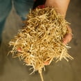 thumbnail image 3 of FarmStraw Coarse - Premium Wheat Straw Animal Bedding, 3 Cu ft, 3 of 7