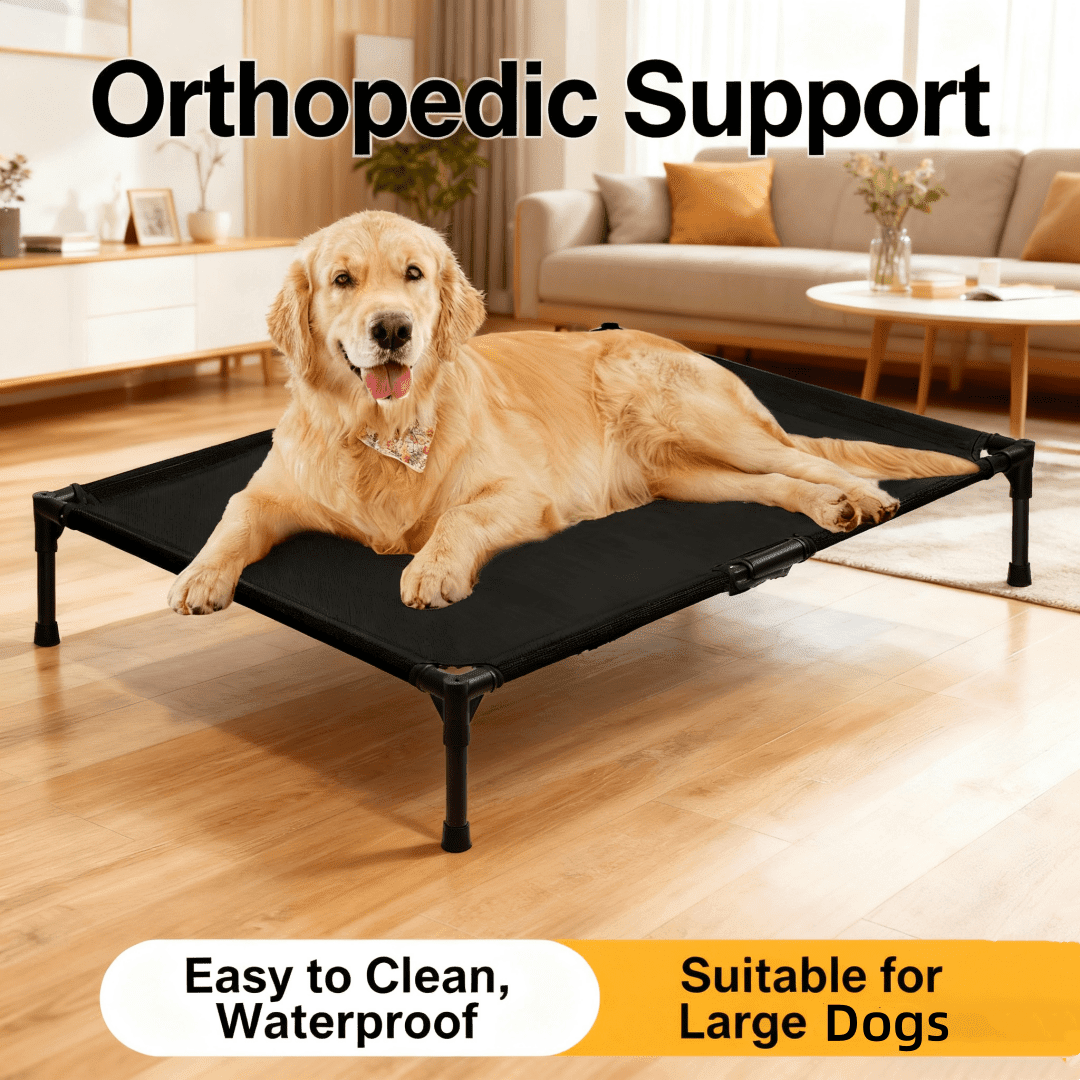 DEROFIT Elevated Dog Bed for Medium & Large Dogs, Durable Dog Cot with  Washable Mesh, Portable Cooling Raised Pet Bed, Black