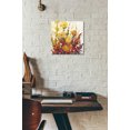 thumbnail image 6 of Epic Art 'Mixed Bouquet I' by Tim O'Toole, Acrylic Glass Wall Art, 12"x12", 6 of 7