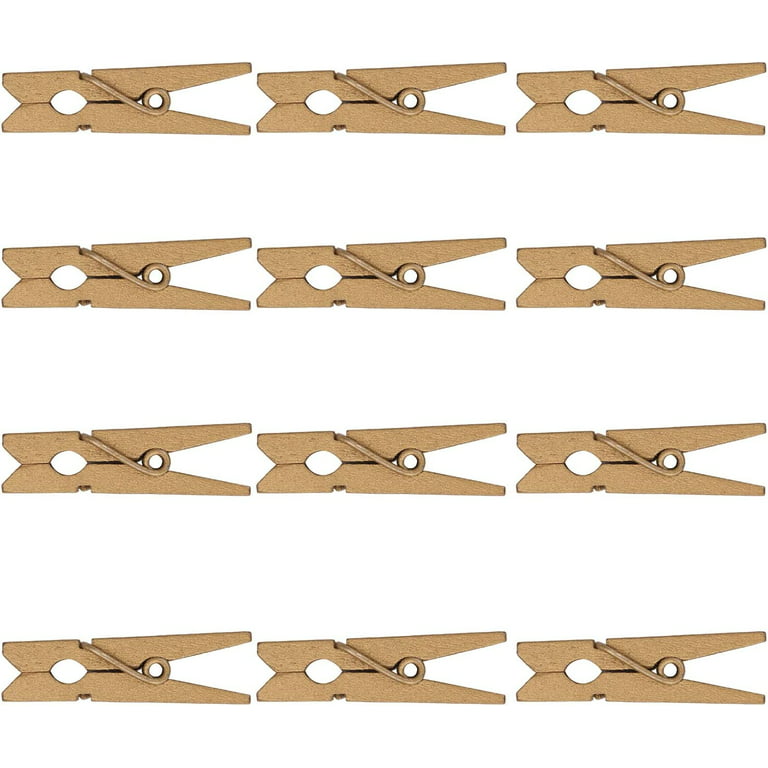 Wooden Mini Pegs, Clips your Photos, Art and Craft Projects, Decoration  (Natural & Multicolour)