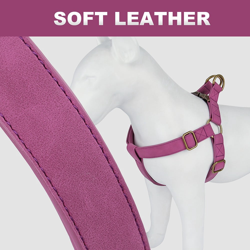 Pet Artist Soft PU Leather Step-in Dog Harness - No Pull Adjustable Vest w/ Brass Buckle, for Small & Medium Breeds