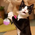 thumbnail image 4 of 2PCS Cat Bell Toy Artificial Fur Fish Rope Cat Toy Ball Cat Interactive Toy, 4 of 10
