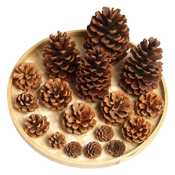 Christmas Pine Cone Decorations, 201 Pcs Large Natural Pine Cones for Crafts - Large Medium and Mini Sizes for Table Tree and Home Decor