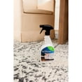 thumbnail image 4 of Unique Loom Carpet Cleaner, 4 of 6