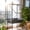 Sy-252 Explosion Flower Silver Black, variant on QinaQin 64 Inch Bird Cage Play Stand, Rolling Parrot Cage with Ladder, Perch and Removable Tray for Macaws, Conures and Cockatiels