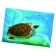 thumbnail image 1 of Tortuga acuario fondo cartel pecera decoración paisaje 61X41cm Yuyangstore Fondo de pecera Pegatina, 1 of 8