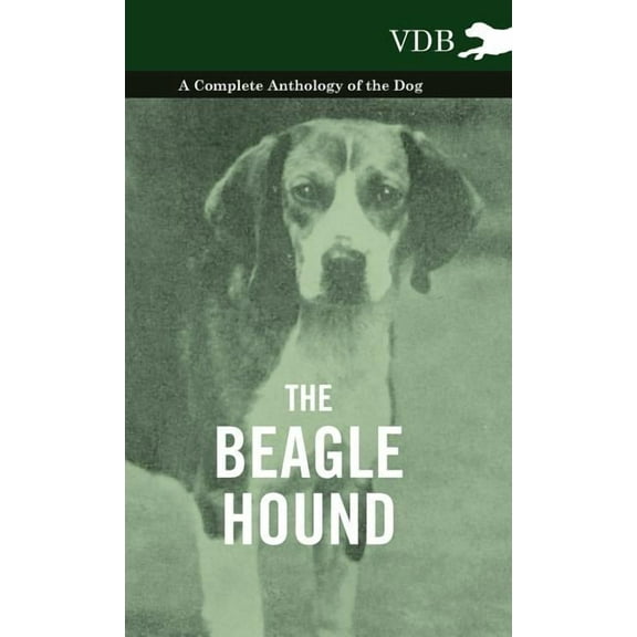 The Beagle Hound - A Complete Anthology of the Dog - (Hardcover)