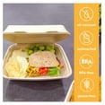 thumbnail image 5 of 100% Compostable Disposable Food Containers with Lids [8”X8” 200 Pack] Eco-Friendly Take-Out TO-GO Containers, Heavy-Duty, Biodegradable, Unbleached by Drevy, 5 of 6
