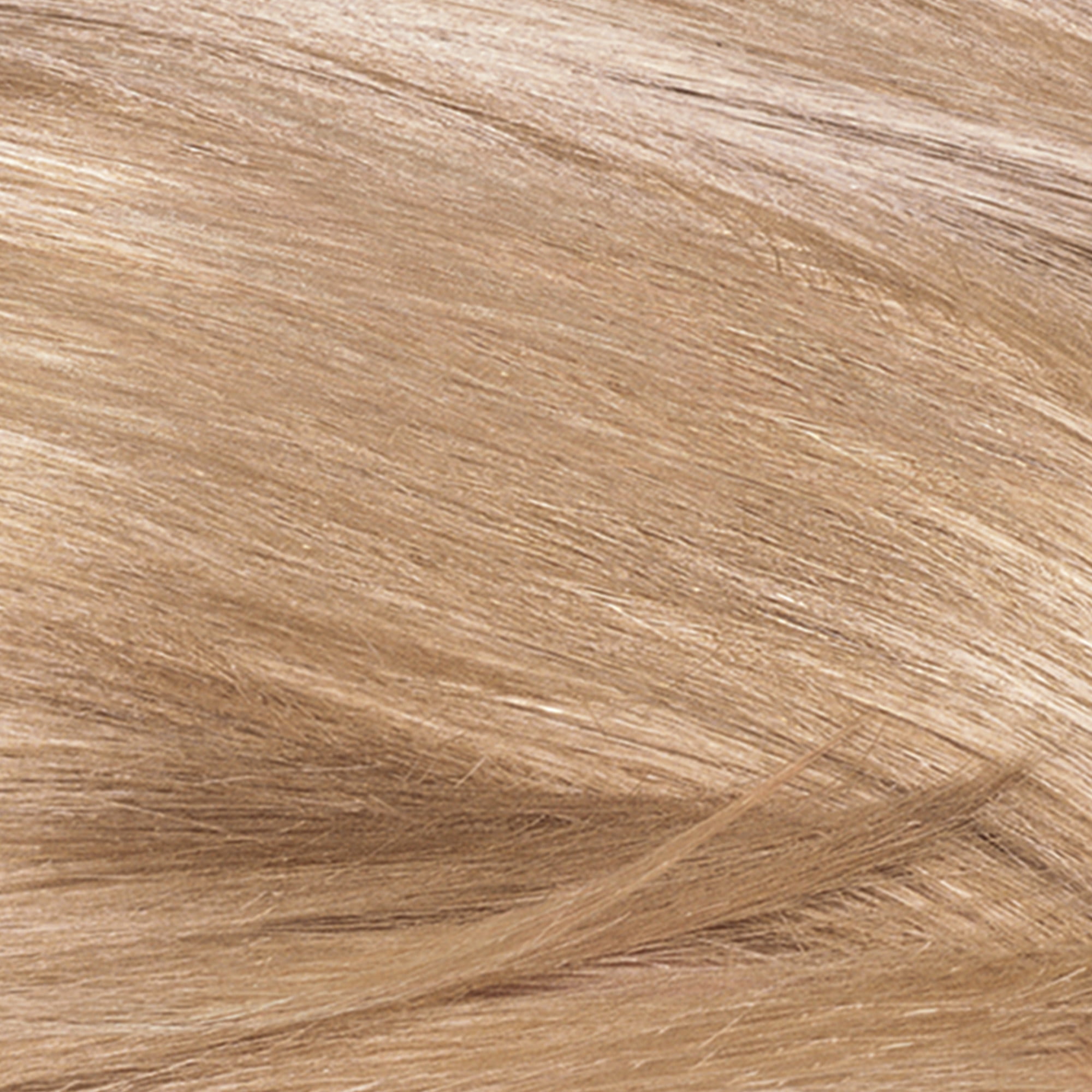 Revlon ColorSilk Beautiful Permanent Hair Color, 73 Champagne Blonde, 1 Count