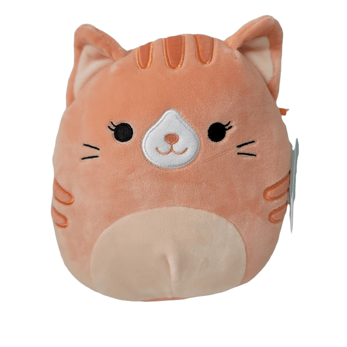 7.5 Inches 18cm BNWT free gift offer Squishmallows Gigi the Cat 