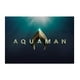 Déguisement Aquaman Adulte – image 3 sur 5