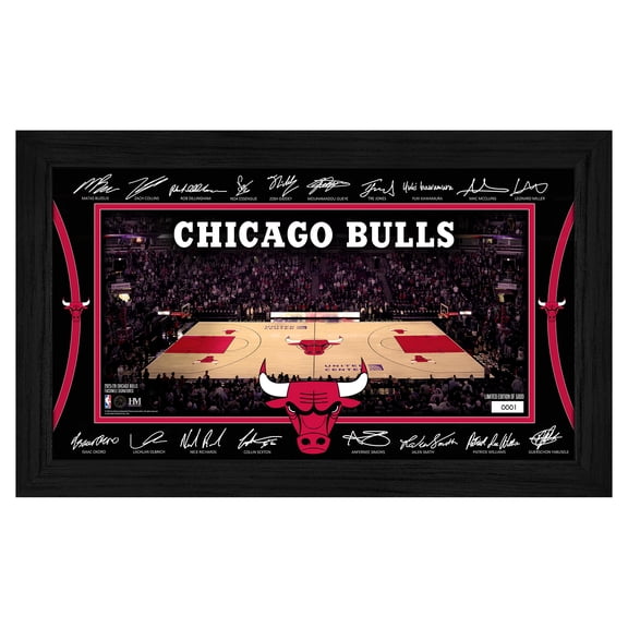 Highland Mint Chicago Bulls 2025 Signature Court Framed Picture
