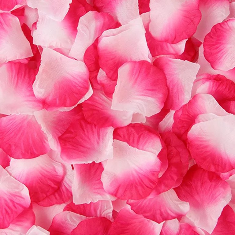 White Rose Petals | Biodegradable Confetti