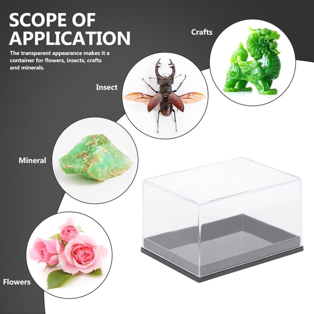 unbranded 6Ud Caja Para Especímenes Mineral Transparente De Plástico Con Cuadrado Resistente