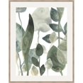 thumbnail image 1 of Water Leaves III Framed Fine Art Print, 1 of 1