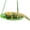 Green, variant on Yirtree Reptile Hammock Hand Woven Strong Load-bearing Gecko Lizard Swing Toy Round Bearded Dragon Swing Hanging Bed