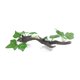 thumbnail image 4 of Decoración de ramas de árboles para trepar Reptiles Plantas Terrario Acuario Geckos Serpiente Cangrejo Hábitat Decoración de hábitat Rama de esquina hiedra, 4 of 8