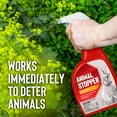 thumbnail image 3 of Messinas Animal Stopper Repellent for Garden Animal Repellent, Ready-to-Use 32 Ounce Trigger Bottle, 3 of 5