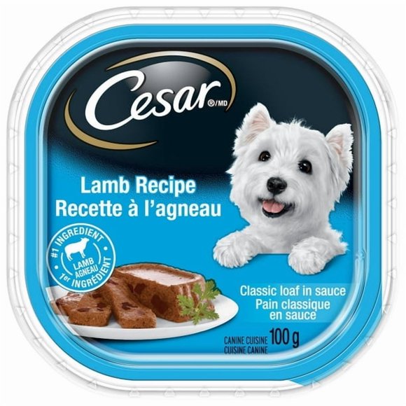 Cesar Pain Classique en Sauce, Recette à l'Agneau, Nourriture Humide Douce pour Chien, 100 g