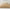 Camel, variant on Exclusivo Mezcla King Size Quilt Bedding Set, Lightweight Soft Grey King Bedspreads Coverlets with Geometric Stitched Pattern
