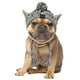 thumbnail image 4 of Gorros de invierno cálidos para perros, resistentes al viento, tejidos, gorro de bulldog francés para perros, gorro de chihuahua, accesorios para cachorros con bola esponjosa, gorros para mascotas, 4 of 5