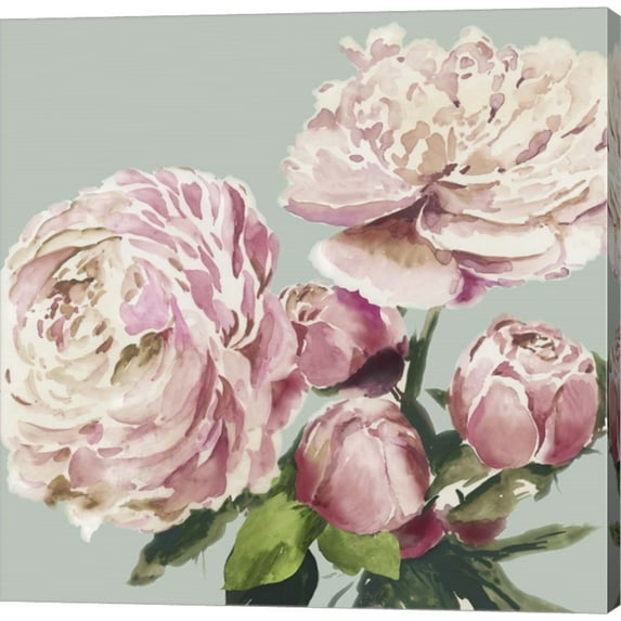 Pink Peony II by Asia Jensen, Canvas Wall Art, 12W x 12H
