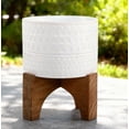 thumbnail image 3 of 7" Pharaoh   Ceramic Planter, 3 of 5