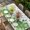 white, variant on St. Patrick's Table Cloths for 3 Foot Rectangle Tables, Luck Shamrock Eucalyptus Leaves Flowers Grey Wooden Patio Waterproof Elastic Fitted Tablecloths, Washable Rectangular Table Cover for Camping