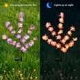thumbnail image 4 of QiShi Solar Garden Lights - Waterproof Solar Orchid Lights with Larger Solar Capacity, Solar Decorative Lights Outdoor for Pathway, Patio, Front Yard Decoration(Purple & Pink)2-pack, 4 of 8