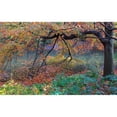 thumbnail image 3 of Varona, Verne 18x13 Black Modern Framed Museum Art Print Titled - Fall Retreat, 3 of 5
