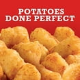 OreIda Golden Tater Tots Seasoned Shredded Frozen Potatoes Value Size