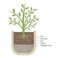 thumbnail image 7 of Mainstays 15.9" D x 15.8" H Parker Green Recycled Resin Planter, 7 of 7