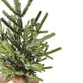 thumbnail image 2 of Northlight Frosted Pine Tree with Natural Jute Base Christmas Decoration - 13.25", 2 of 3