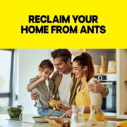 Raid Ant Killer Baits, For Household Use, Kills the Colony, Kills Ants for 3 Months, Child Resistant, 4 Count