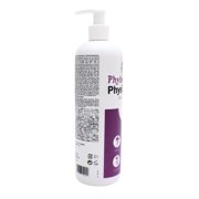 Phytodoxia Physio Gel Paraben-Free Arnica Gel for Arthritis, 16.9 Fl Oz with Devil's Claw Extract
