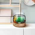 thumbnail image 4 of MasteelfCA Bol à Poisson en Verre Aquarium en Verre Terrarium Poisson Rouge Aquarium Réservoir Vase Bol pour Centres de Table, 4 of 8