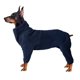 thumbnail image 1 of Ropa de Invierno para Mascotas Perros Grandes y Pequeños Ropa Caliente de Otoño e Invierno Color Sólido Engrosada Cremallera Envolver Ropa Calor al Aire Libre, 1 of 5